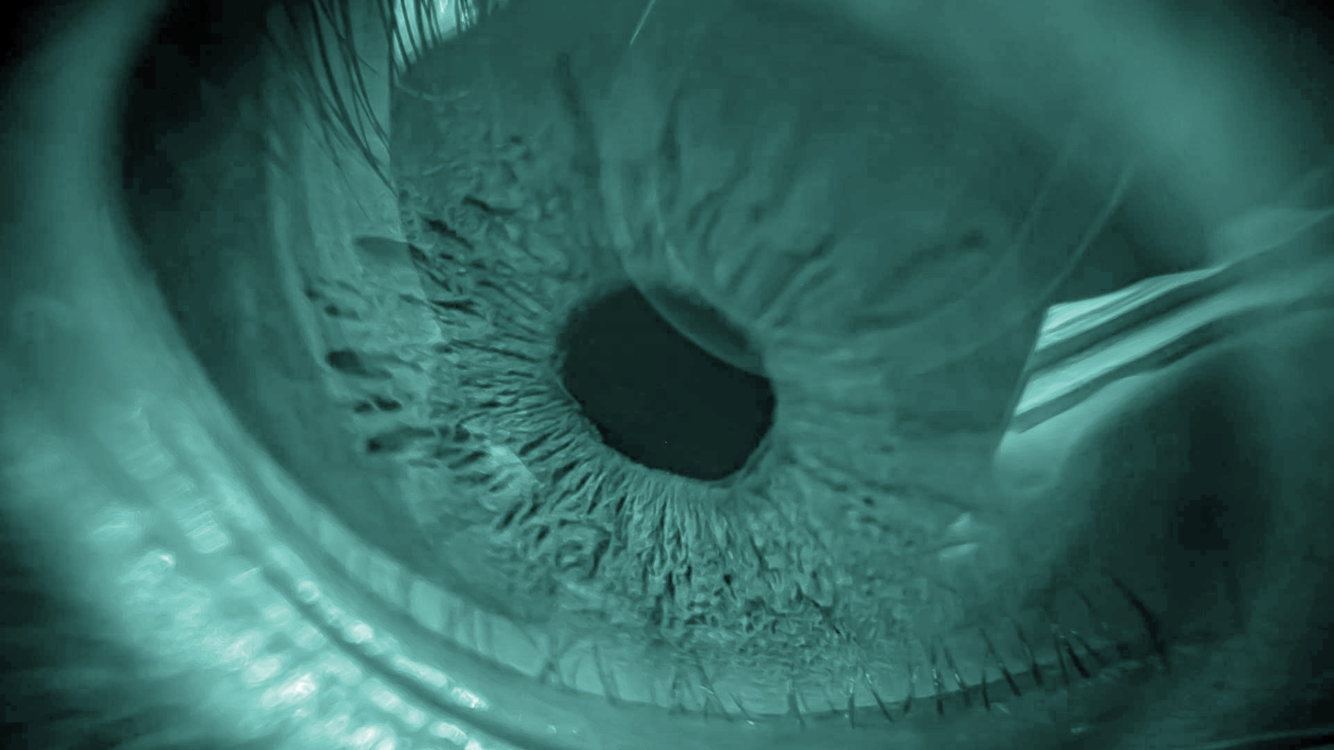 abstract photo of woman reading code